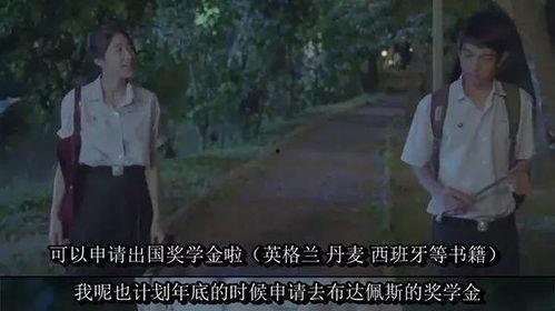 偷自国产,偷自国产生态发展之路